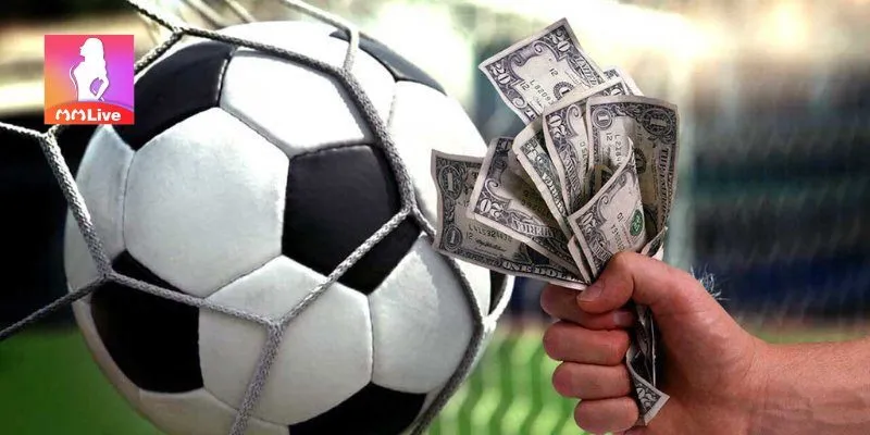 Những yếu tố khách quan ảnh hưởng tới kết quả trận đấu