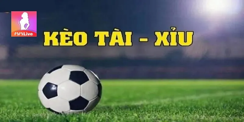 Nắm rõ khái niệm về kèo tài - xỉu khi cá cược
